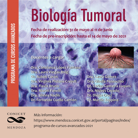 Curso Biolog A Tumoral Probiol Programa De Posgrado En Biolog A