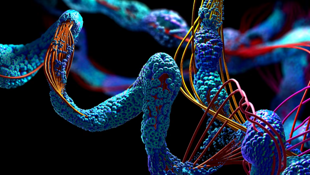 imagen Invitan a curso sobre Herramientas Bioinformáticas para el Análisis de Secuencia y Estructura de Proteínas